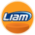 خرید کلاه کاسکت ایرانی liam از نمایندگی فروش